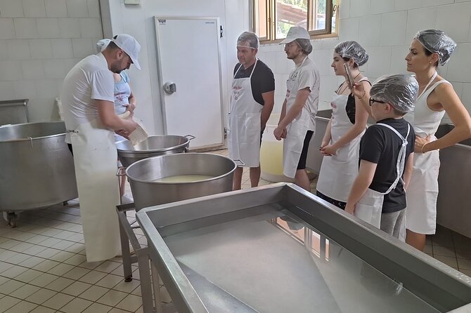 Mozzarella Experience with Tasting in Vico Equense - Booking and practical details