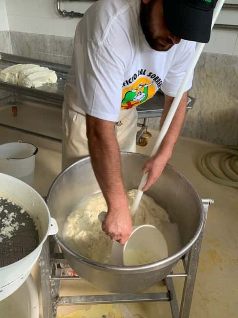Naples: Mozzarella Experience, Taste of Southern Italy - A Garden Before the Cheese