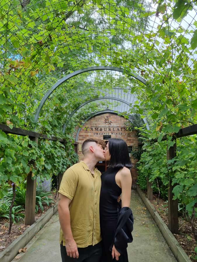 Newcastle: Hunter Valley Wine, Gin, Cheese & Chocolate Tour - Three boutique wineries in one Hunter Valley day