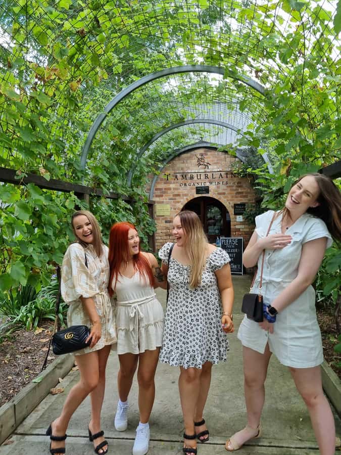 Newcastle: Hunter Valley Wine, Gin, Cheese & Chocolate Tour - The first stop: an introduction to Hunter Valley wine