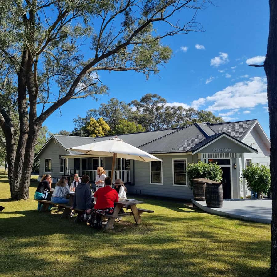 Newcastle: Hunter Valley Wine, Gin, Cheese & Chocolate Tour - Who will enjoy this Hunter Valley outing?