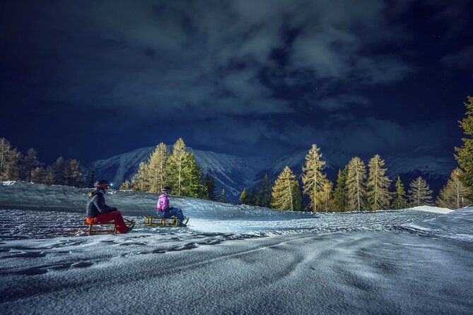 Night Sledding and Fondue Feast Interlaken - Key points to know before booking