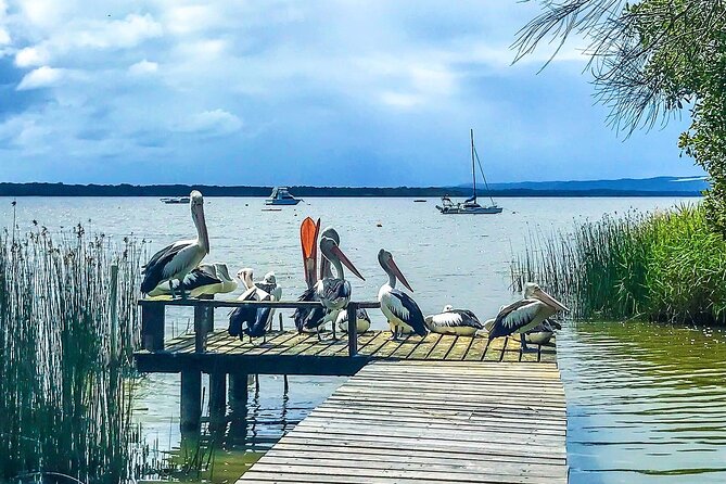 Noosa Hinterland Tour with Lunch, Wine & Cheese Tasting & more - Pomona is the day’s main food stop