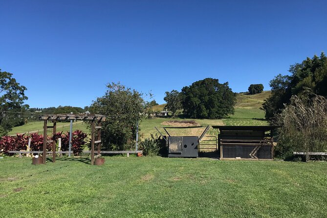 Noosa Hinterland Tour with Lunch, Wine & Cheese Tasting & more - Dingo Creek Vineyard closes with wine and cheese