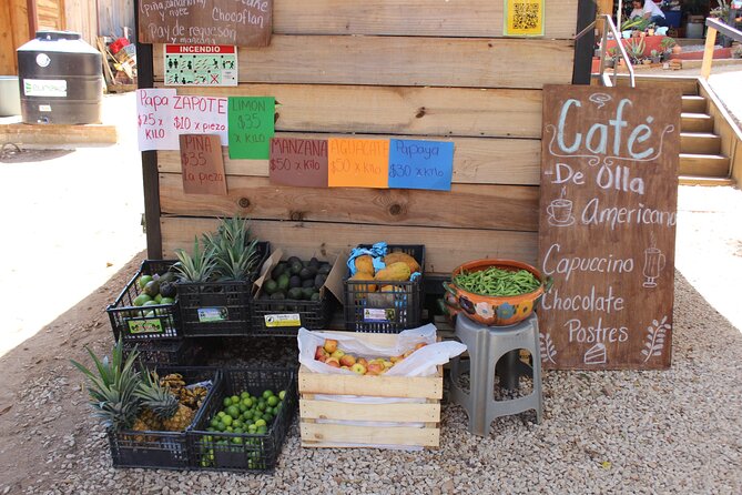 Oaxacan Cheese and Quesillo Workshop - A private setting with time to linger