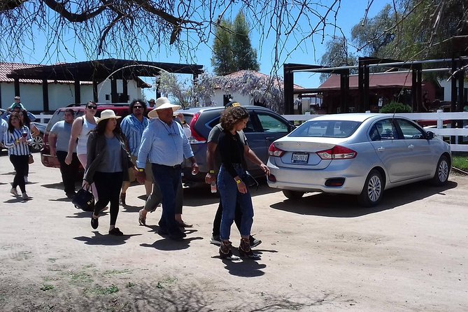 Ojos Negros Valley Wine and Cheese Route Tour in Baja California - Lunch at La Casa de Marcelo