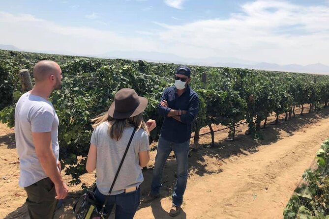 Ojos Negros Valley Wine and Cheese Route Tour in Baja California - Guides, language, and the tone of the day