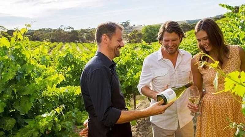 Ontario: Afternoon Wine Tour and Cheese Pairing - The Cheese Pairing at One Winery
