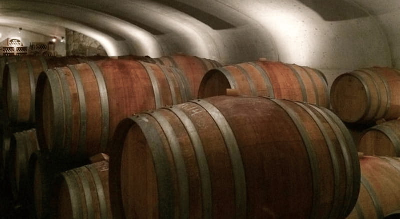 Ontario: Afternoon Wine Tour and Cheese Pairing - Hotel Pickup Makes the Afternoon Easier