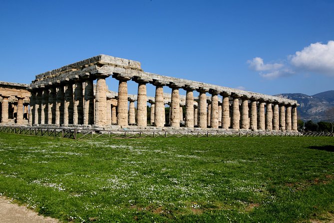 Paestum, Buffalo Mozzarella tasting and light lunch private tour - Is $509.35 per person a fair price?