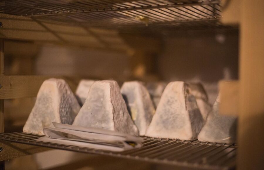Paris: Cheese and Wine Class in a 17th Century Cellar - Why the aging process matters