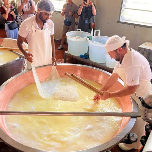 Parma: Cheese, Ham, & Balsamic Vinegar Tour with Tastings - Traditional balsamic vinegar in Modena