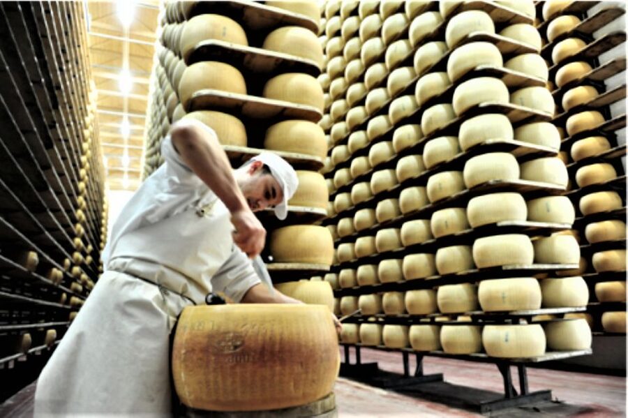 Parma: Parmigiano Production and Parma Ham Tour & Tasting - What the guides add