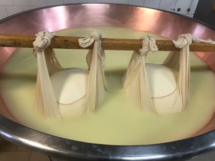 Parma: Parmigiano Production and Parma Ham Tour & Tasting - Who should book this Parma food tour?