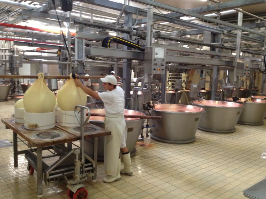 Parma: Parmigiano Reggiano Farm Tour & Tasting with Transfer - Why this cheese factory visit matters