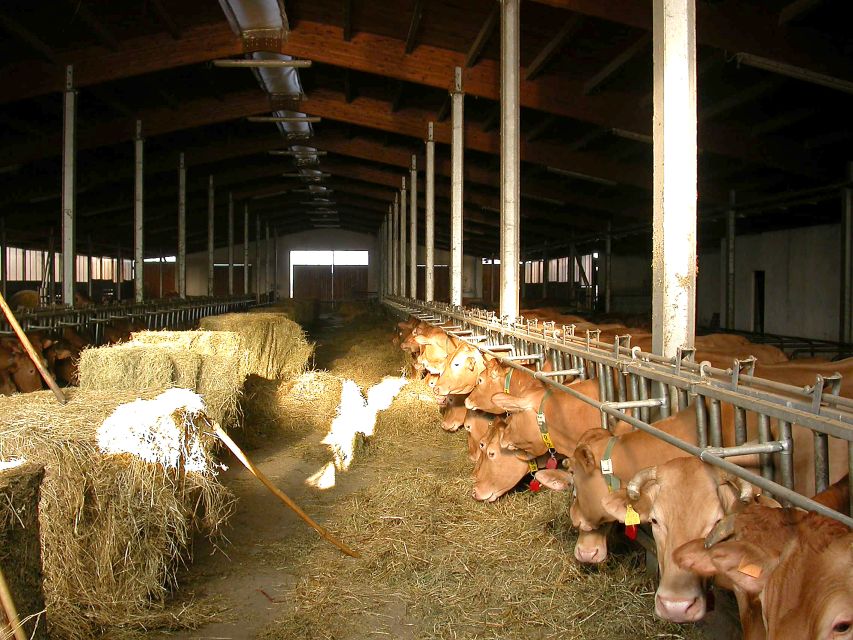 Parma: Parmigiano Reggiano Farm Tour & Tasting with Transfer - Who should book this Parma experience?