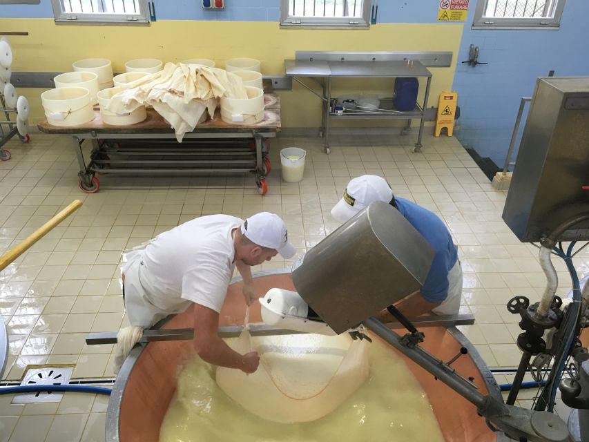 Parma: Parmigiano-Reggiano Tour and Tasting - Key points to know before you book