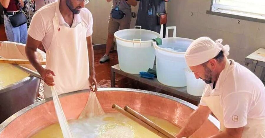 Parma: Traditional Cheese Factory Visit with Tasting - The Shaping, Salting, and Aging Rooms