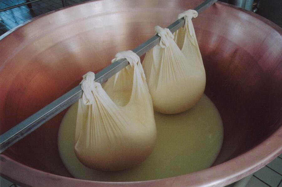 Parma: Traditional Cheese Factory Visit with Tasting - Is $82 a Fair Price for Two and a Half Hours?
