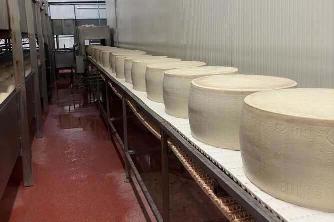 Parmesan and Balsamic Food Tour with Ferrari Museum - What the $289.15 price really includes