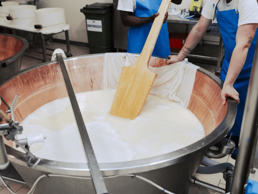 Parmesan Cheese Factory Tour & Tasting near Parma - Hundreds of wheels in the aging rooms