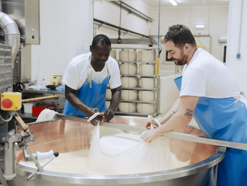 Parmesan Cheese Factory Tour & Tasting near Parma - My booking advice