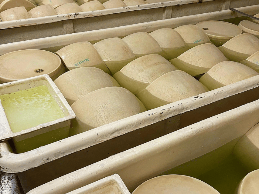 Parmesan Cheese Tour & Tasting in Modena - Should you book it?