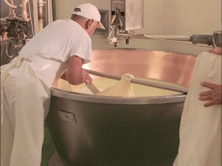 Parmesan Cheese Tour & Tasting in Modena - Is $58 a fair price?
