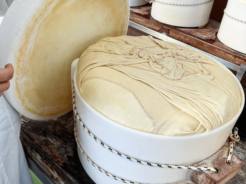 Parmesan Cheese Tour & Tasting in Modena - Language, timing, and practical details
