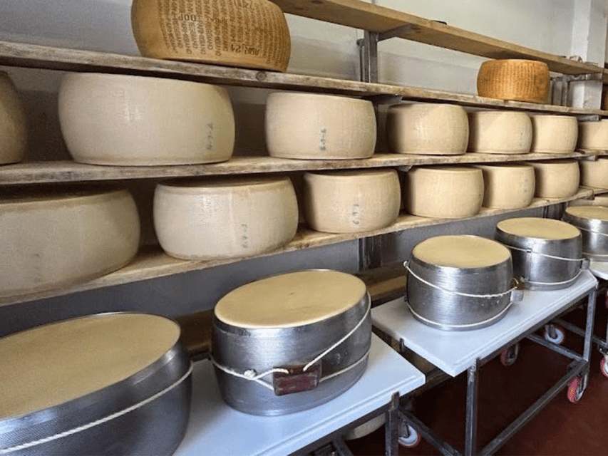 Parmesan Wheels near Parma: Tasting & Factory Tour - The calves are a pleasant extra, not the main reason to book