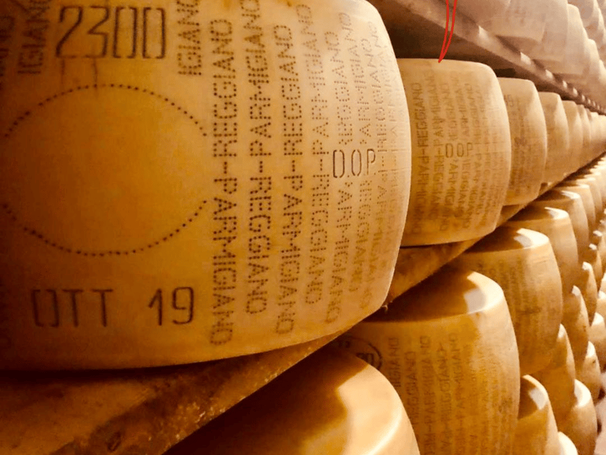 Parmesan Wheels near Parma: Tasting & Factory Tour - Who will enjoy this experience most