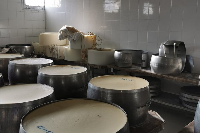 Parmigiano, Prosciutto and Traditional balsamic Tour from Bologna - Ilaria’s role in making the day worthwhile