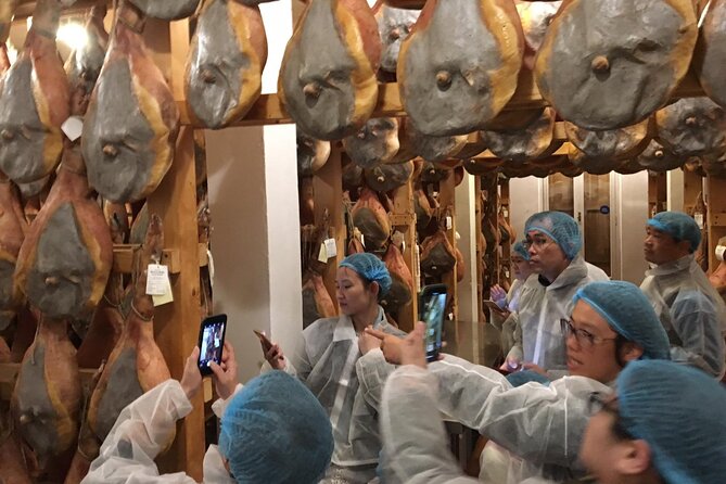 Parmigiano-Reggiano and Parma Ham Small Group Tour - What to expect at the Parma ham factory
