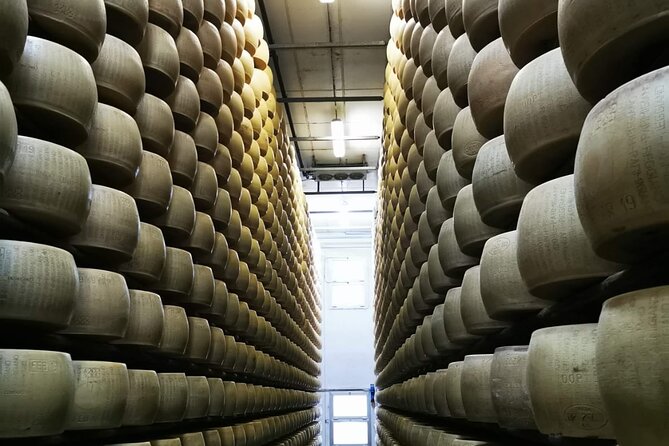 Parmigiano Reggiano, Balsamic Vinegar and fresh pasta tour - At Cooperativa San Silvestro, cheese is the opening lesson