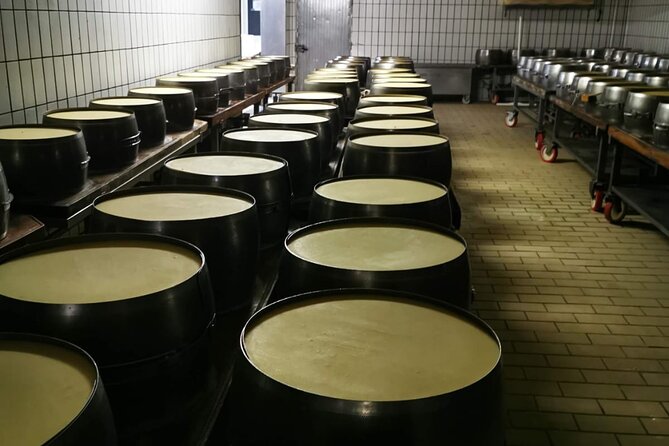 Parmigiano Reggiano, Balsamic Vinegar and fresh pasta tour - Marano sul Panaro brings the food closer to home