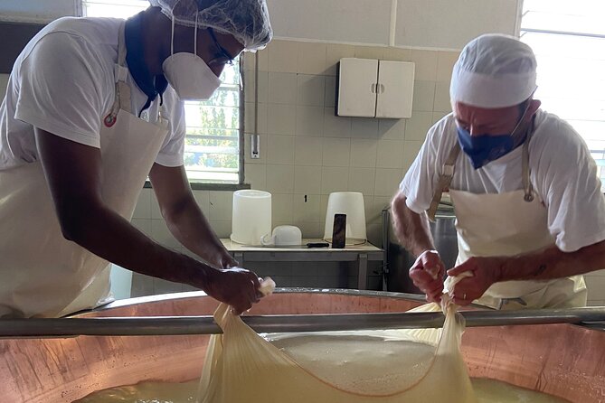 Parmigiano-Reggiano Cheese Factory Small group Tour From Parma - Small groups, guide quality, and the human side