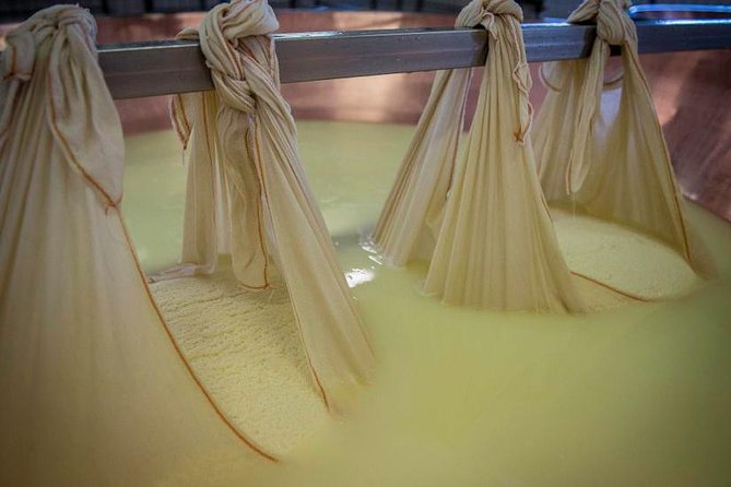 Parmigiano Reggiano Cheese Factory Tour & Tasting Experience - Putting on the lab coat and entering the dairy