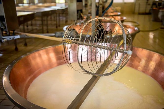 Parmigiano Reggiano Cheese Factory Tour & Tasting Experience - Is $249.92 a fair price?