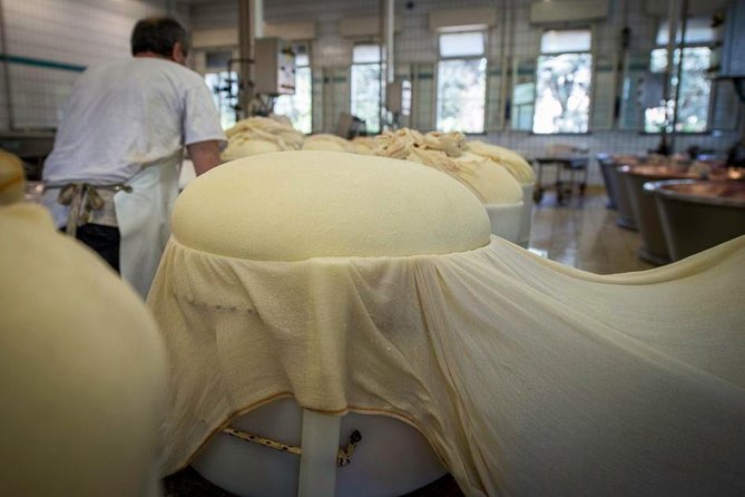 Parmigiano Reggiano Cheese Factory Tour & Tasting Experience - Getting there from Bologna or Reggio Emilia