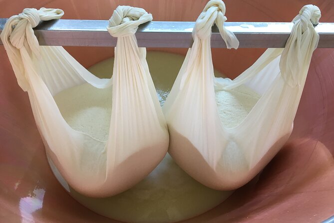 Parmigiano-Reggiano Tour and tastings - The tasting gives the visit a satisfying finish