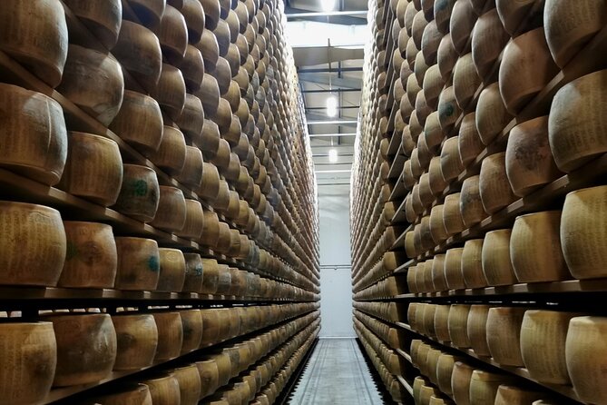 Parmigiano Wine and Balsamic Vinegar Experience from Bologna - Five things to know before you book