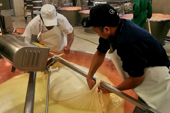 Parmigiano Wine and Balsamic Vinegar Experience from Bologna - 7 a.m. pickup and an eight-and-a-half-hour route