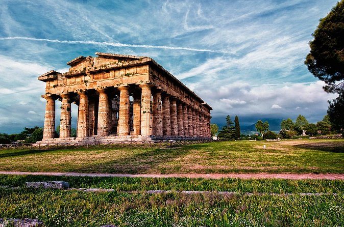 Pastum and Buffalo Mozzarella Drive - Buffalo mozzarella in the Campania countryside