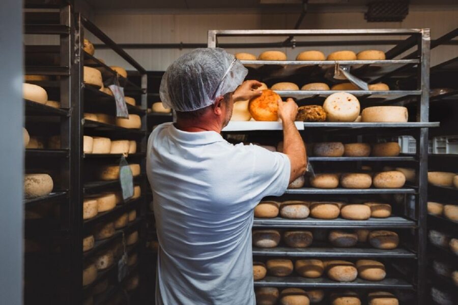 Pienza: Dairy Farm Tour with Pecorino Cheese Tasting - Why Pecorino Makes Sense in Pienza