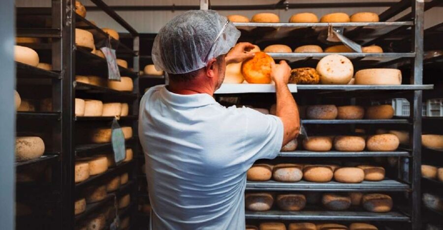 Pienza: Dairy Farm Tour with Pecorino Cheese Tasting - Arriving at the Farm in the Val d’Orcia