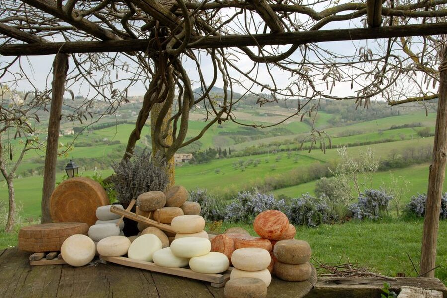 Pienza: Dairy Farm Tour with Pecorino Cheese Tasting - Wine, Olive Oil, and Other Farm Flavors