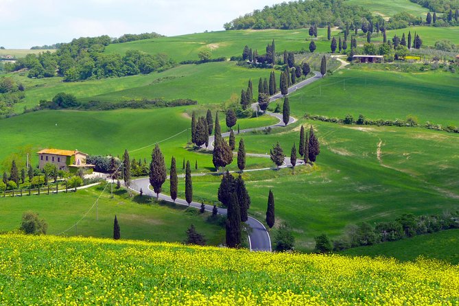 Pienza, Montalcino, Brunello Wine and Pecorino Cheese PRIVATE TOUR from FLORENCE - Capanna di Cencioni and the Brunello tasting