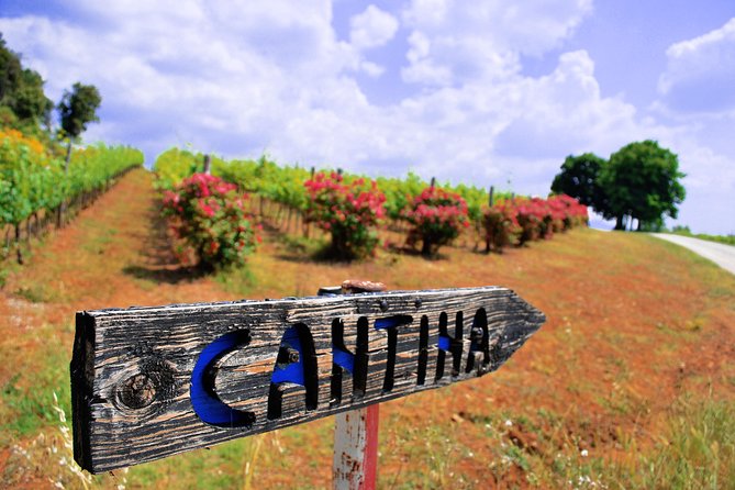 Pienza, Montalcino, Brunello Wine and Pecorino Cheese PRIVATE TOUR from FLORENCE - Leaving Florence for the Val d’Orcia