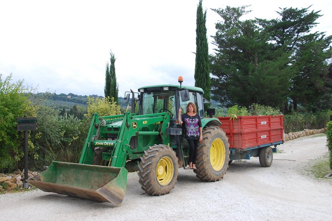 Pienza, Val d'Orcia, Montalcino wine and Pecorino cheese PRIVATE TOUR from SIENA - The farm lunch option deserves attention