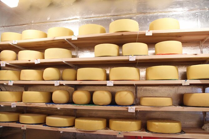 Pisa, Lucca & Cheese Farm with wine tasting Private Tour - Who should book this experience